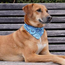 Lade das Bild in den Galerie-Viewer, Buddy Bandana Boteh Hundehalstuch Blau mit Muster für Labrador und verschiedene Hunderassen
