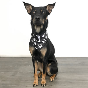 Buddy Bandana Hundehalstuch Schwarz Weiss mit Scrunchie und Haarband für Mischlingshunde und verschiedene Hunderassen